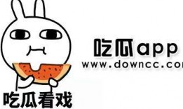 各种网红吃瓜黑料是什么,吃瓜黑料背后的真相与反思